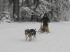 mushing