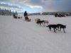 mushing