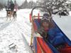Obrázek Musher Junior
