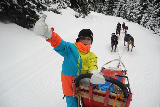 Obrázek Musher Junior