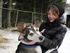 Obrázek Musher Junior