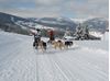mushing