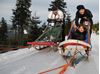 mushing